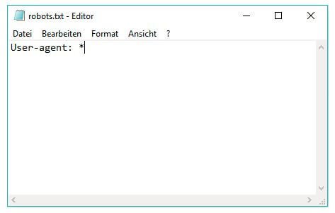 Beispiel robot.txt im Texteditor