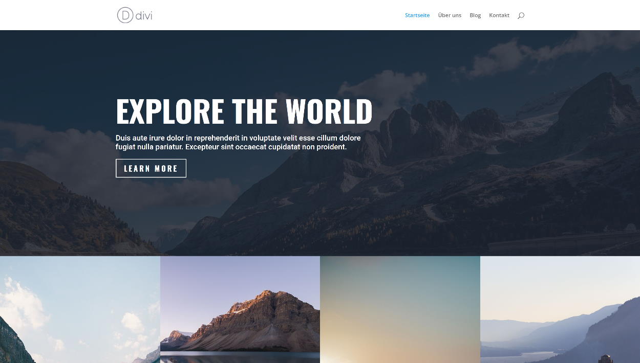 Divi Theme - Demo Homepage